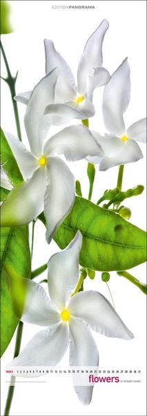 Produktbild: Flowers