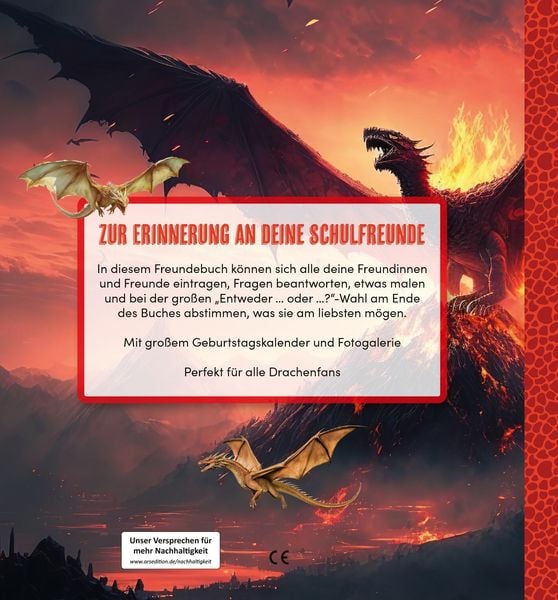 Produktbild: Meine Schulfreunde - Drachen