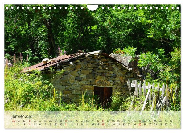 Produktbild: Echapp&eacute;e alpine (Calendrier mural 2026 DIN A4 vertical), CALVENDO calendrier mensuel
