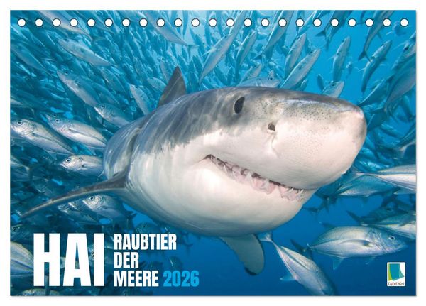 Produktbild: Hai: Raubtier der Meere (Tischkalender 2026 DIN A5 quer), CALVENDO Monatskalender