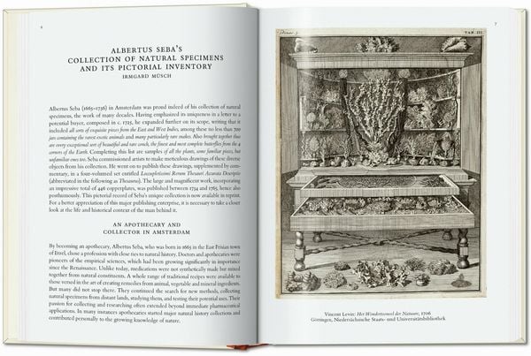 Seba. Cabinet of Natural Curiosities. 40th Ed.