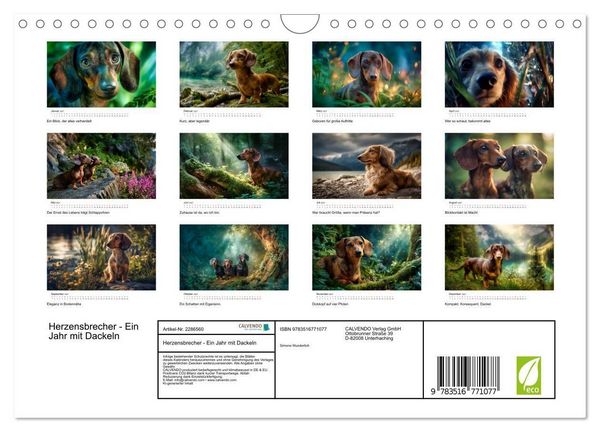 Produktbild: Herzensbrecher - Ein Jahr mit Dackeln (Wandkalender 2027 DIN A4 quer), CALVENDO Monatskalender