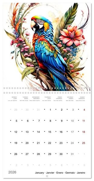 Produktbild: Des perroquets color&eacute;s (Calendrier mural carr&eacute; 2026 30x30 cm) Calendrier double avec une page pour vos prises de notes