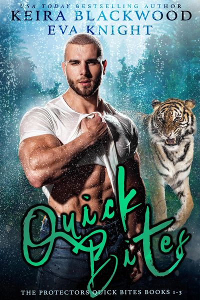 Produktbild: The Protectors Quick Bites Box Set 1 (Shifter Protectors Box Sets)