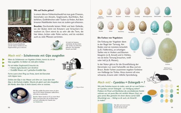 Wawra's Naturbuch – Unserer Natur auf der Spur, Bd. 1: Säugetiere, Vögel, Reptilien, Amphibien