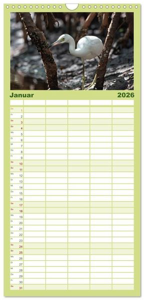 Produktbild: Familienplaner 2026 - Blaureiher und Dreifarbenreiher mit 5 Spalten (Wandkalender, 21 x 45 cm) CALVENDO