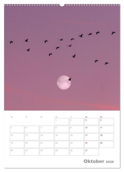 Produktbild: VOLLMOND-Planer - Im Licht der Nacht (Wandkalender 2026 DIN A2 hoch), CALVENDO Monatskalender
