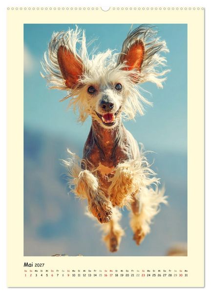 Produktbild: Charme und Grazie. Die Anmut der Chinesischen Schopfhunde (hochwertiger Premium Wandkalender 2027 DIN A2 hoch), Kunstdruck in Hochglanz