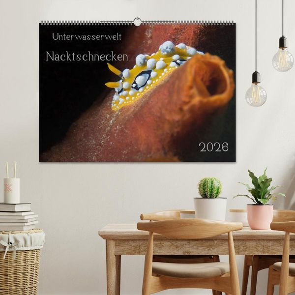 Produktbild: Unterwasserwelt Nacktschnecken (Wandkalender 2026 DIN A2 quer), CALVENDO Monatskalender