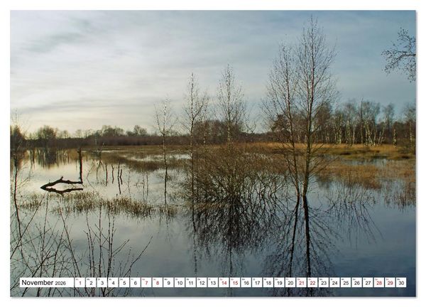Produktbild: Impressionen aus dem Moor (Wandkalender 2026 DIN A3 quer), CALVENDO Monatskalender