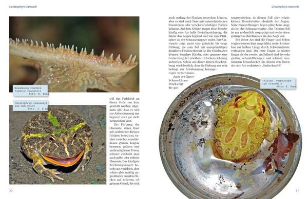 Produktbild: Schmuckhornfr&ouml;sche - Die Gattung Ceratophrys