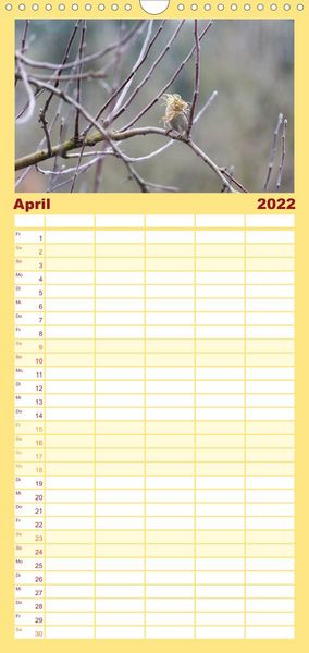 Produktbild: Familienplaner Gartenv&ouml;gel (Wandkalender 2022 , 21 cm x 45 cm, hoch)