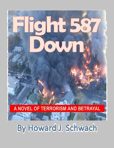 Produktbild: Flight 587 Down