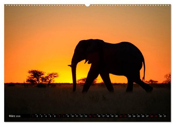 Produktbild: Faszination Botswana (Wandkalender 2026 DIN A2 quer), CALVENDO Monatskalender