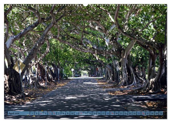 Produktbild: Florida Spots II (hochwertiger Premium Wandkalender 2026 DIN A2 quer), Kunstdruck in Hochglanz