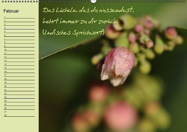 Produktbild: Vergiss mein nicht Geburtstagskalender (Wandkalender immerw&auml;hrend DIN A2 quer)