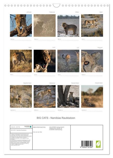 Produktbild: BIG CATS - Namibias Raubkatzen (Wandkalender 2026 DIN A3 hoch), CALVENDO Monatskalender