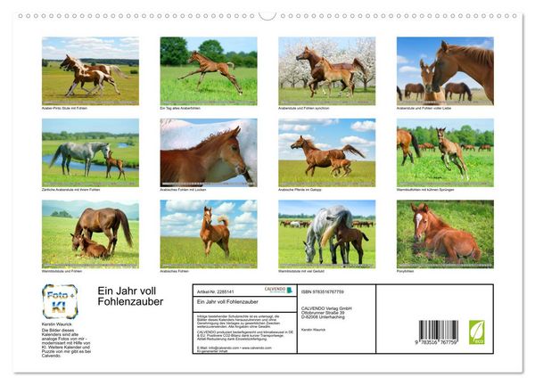 Produktbild: Ein Jahr voll Fohlenzauber (hochwertiger Premium Wandkalender 2027 DIN A2 quer), Kunstdruck in Hochglanz
