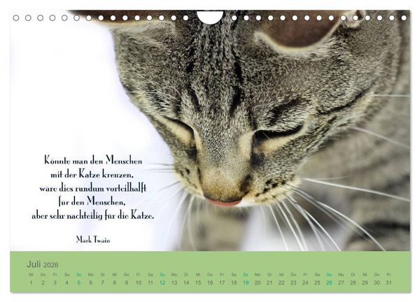 Produktbild: Katzenzitate 2026 (Wandkalender 2026 DIN A4 quer), CALVENDO Monatskalender