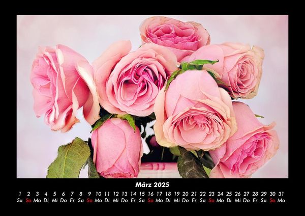 Produktbild: Blumentr&auml;ume 2025 Fotokalender DIN A3