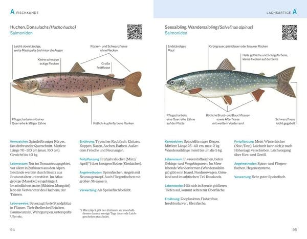 Produktbild: Fischerpr&uuml;fung