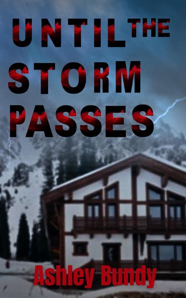 Produktbild: Until the Storm Passes