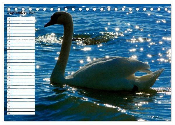 Produktbild: Lazise und Umgebung (Tischkalender 2027 DIN A5 quer), CALVENDO Monatskalender