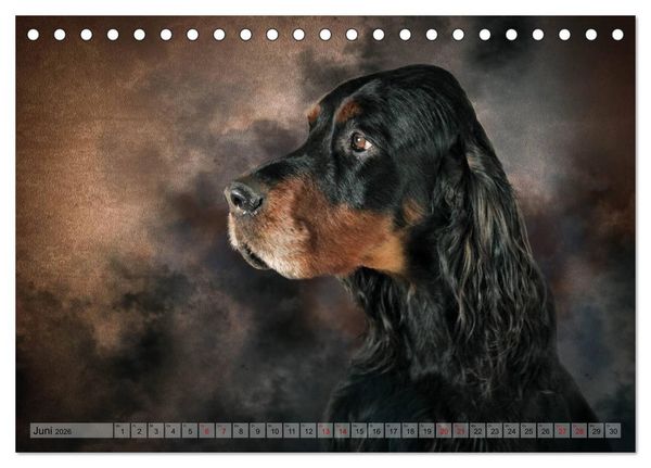 Produktbild: Jagdhunde im Portrait (Tischkalender 2026 DIN A5 quer), CALVENDO Monatskalender