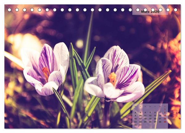 Produktbild: Bl&uuml;ten im Retro-Style (Tischkalender 2026 DIN A5 quer), CALVENDO Monatskalender