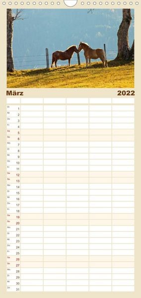 Produktbild: Familienplaner Pferde und Ponys im Paradies (Wandkalender 2022 , 21 cm x 45 cm, hoch)