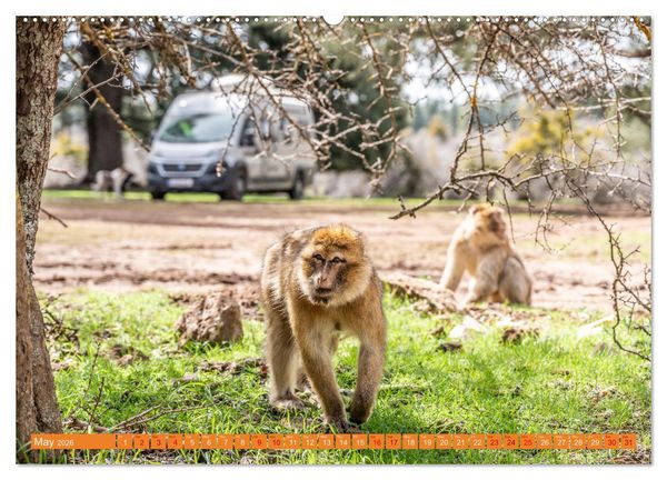 Produktbild: Van Life Road Trip Morocco (Wall Calendar 2026 DIN A2 landscape), CALVENDO 12 Month Wall Calendar