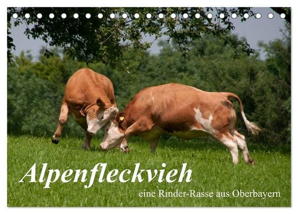 Produktbild: Alpenfleckvieh (Tischkalender 2026 DIN A5 quer), CALVENDO Monatskalender