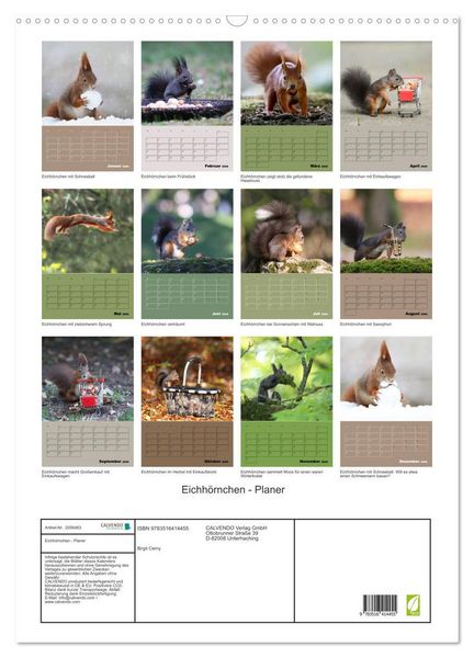 Produktbild: Eichh&ouml;rnchen - Planer (Wandkalender 2026 DIN A2 hoch), CALVENDO Monatskalender
