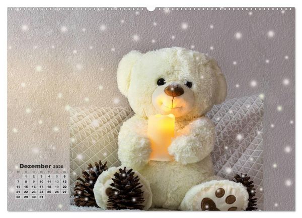 Produktbild: Teddys, wollen wir Kalender anschauen? (Wandkalender 2026 DIN A2 quer), CALVENDO Monatskalender