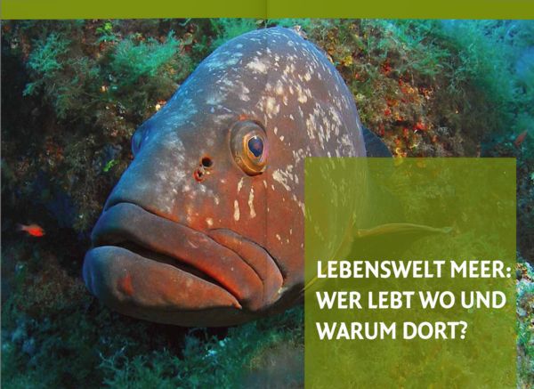 Produktbild: Mittelmeerleben