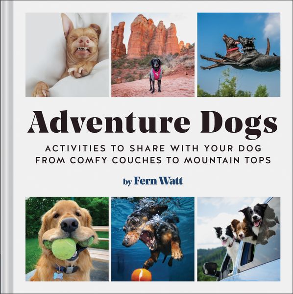 Produktbild: Adventure Dogs