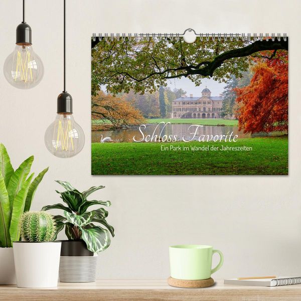 Produktbild: Schloss Favorite &ndash; Ein Park im Wandel der Jahreszeiten (Wandkalender 2026 DIN A4 quer), CALVENDO Monatskalender