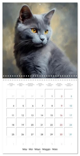 Produktbild: Illustrations Chatons (Calendrier mural carr&eacute; 2026 30x30 cm) Calendrier double avec une page pour vos prises de notes