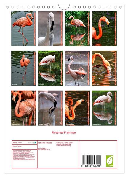 Produktbild: Rosarote Flamingo (Wandkalender 2026 DIN A4 hoch), CALVENDO Monatskalender