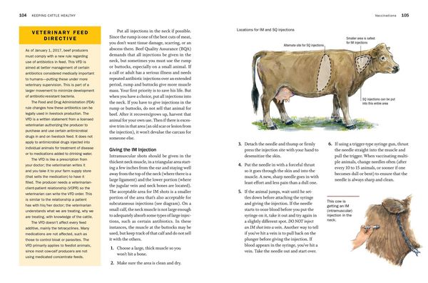 Produktbild: Storey's Guide to Raising Beef Cattle, 4th Edition
