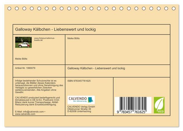 Produktbild: Galloway K&auml;lbchen - Liebenswert und lockig (Tischkalender 2026 DIN A5 quer), CALVENDO Monatskalender