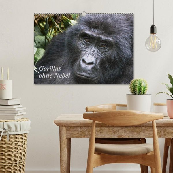 Produktbild: Gorillas ohne Nebel (Wandkalender 2026 DIN A3 quer), CALVENDO Monatskalender