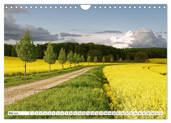 Produktbild: Unser sch&ouml;nes Mecklenburg (Wandkalender 2026 DIN A4 quer), CALVENDO Monatskalender