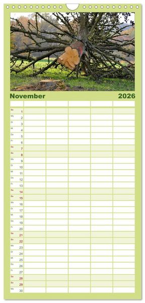 Produktbild: Familienplaner 2026 - B&auml;ume 2026 mit 5 Spalten (Wandkalender, 21 x 45 cm) CALVENDO