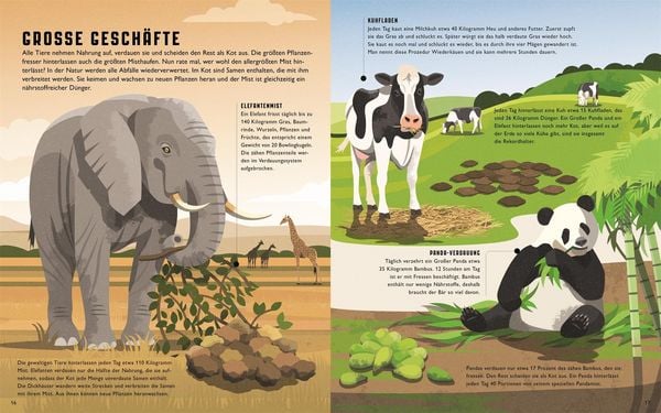 Produktbild: Gro&szlig;artige Tiere