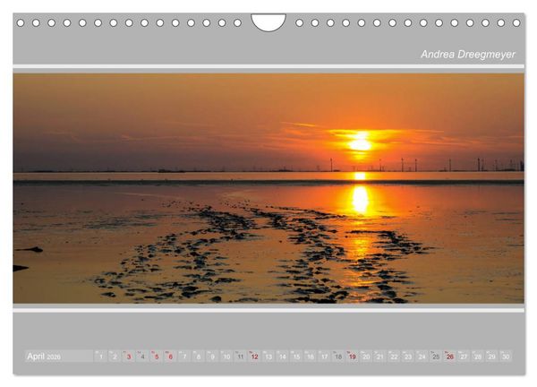Produktbild: Krummh&ouml;rn im Panorama-Format (Wandkalender 2026 DIN A4 quer), CALVENDO Monatskalender