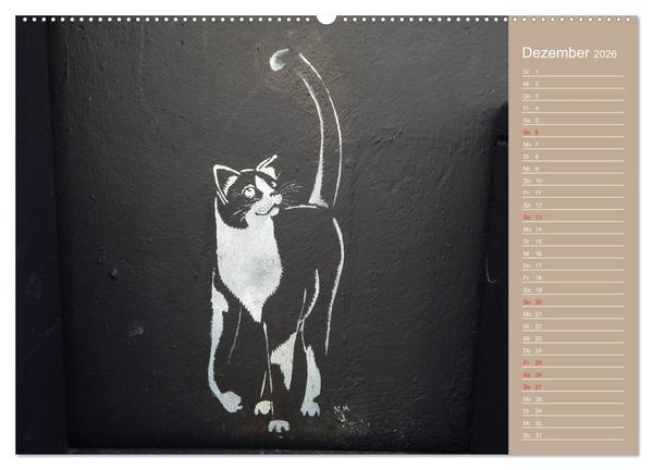 Produktbild: Flensburger Katzen (Wandkalender 2026 DIN A2 quer), CALVENDO Monatskalender