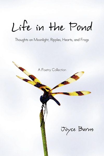Produktbild: Life in the Pond