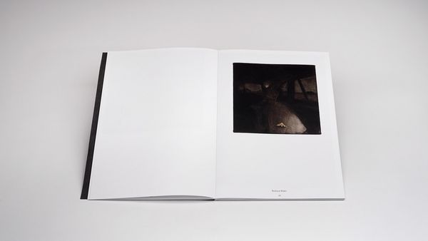 Produktbild: Aline Schwibbe &ndash; Now It&rsquo;s Dark