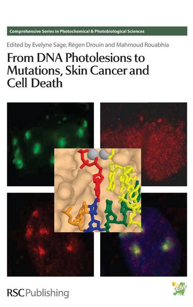 Produktbild: From DNA Photolesions to Mutations, Skin Cancer and Cell Death